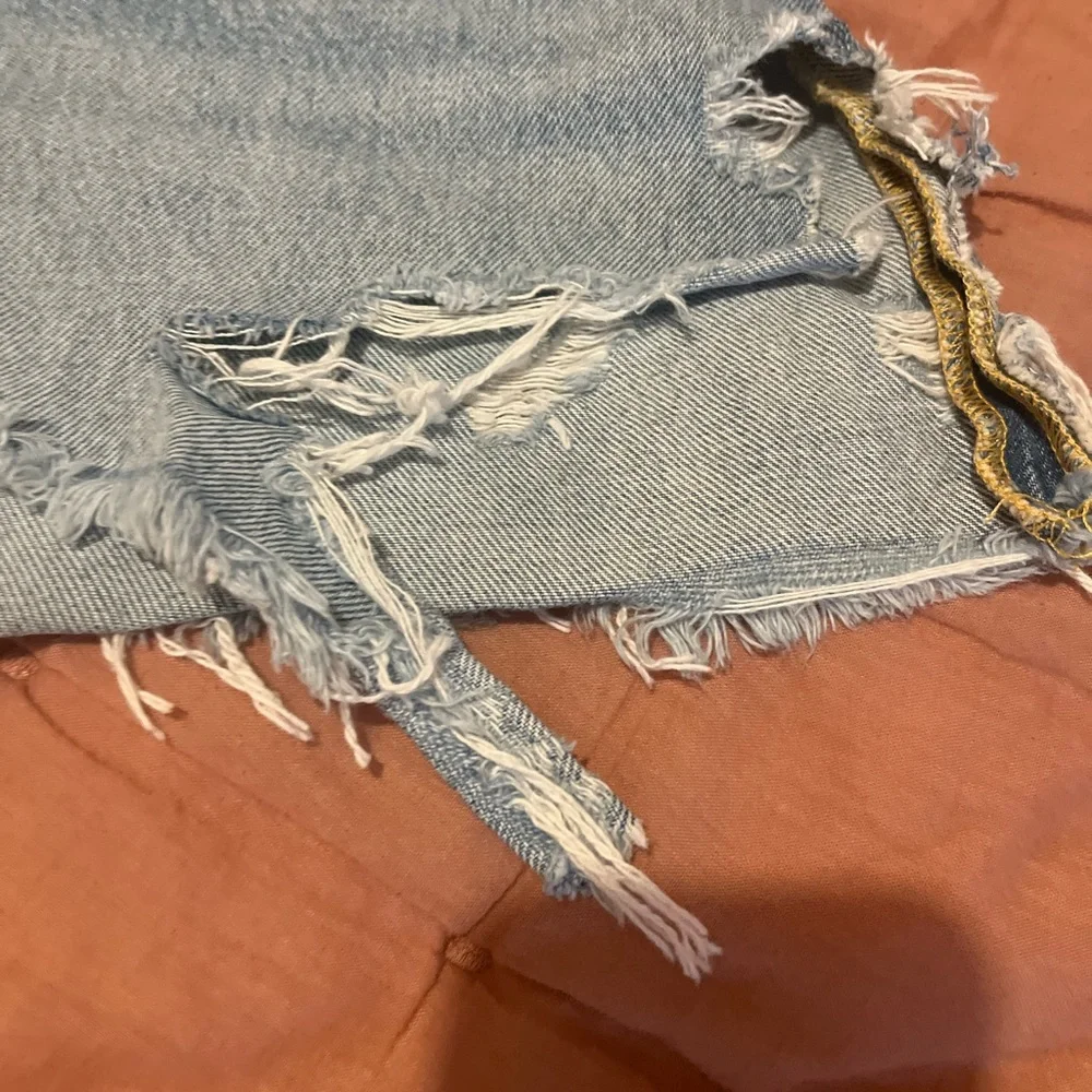 Agolde Parker Denim Jean Shorts